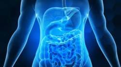 पचन आणि आतड्यांचे आरोग्य सुधारण्यासाठी करा ‘ही’ सहा सोप्पी योगासने