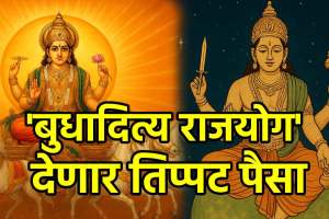 Surya-budh make budh aditya rajyog