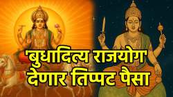 जानेवारी २०२६ मध्ये सूर्य-बुध येणार एकत्र, ‘या’ तीन राशीच्या आयुष्य रातोरात बदलणार, बक्कळ पैसा अन् मानसन्मान कमावणार