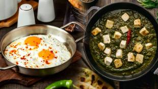 egg vs paneer benefits of protein breakfast