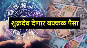 एक महिन्यानंतर शुक्राचे २०२५ मधील शेवटचे गोचर, ‘या’ राशींना मिळणार नोकरीत बढती अन् बँक बॅलन्समध्ये घसघसशीत वाढ