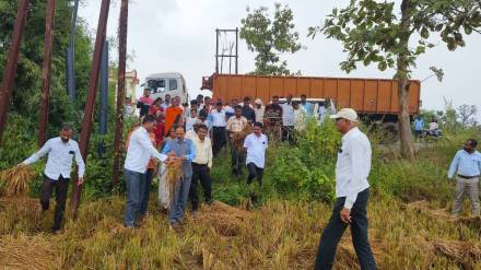 gondia rain news gondia rain news