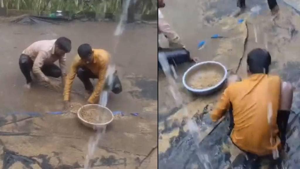 sawantwadi farmers sawantwadi farmers