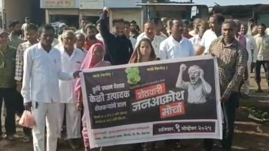 jalgaon banana loksatta news