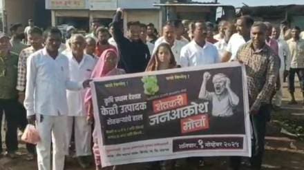 jalgaon banana loksatta news