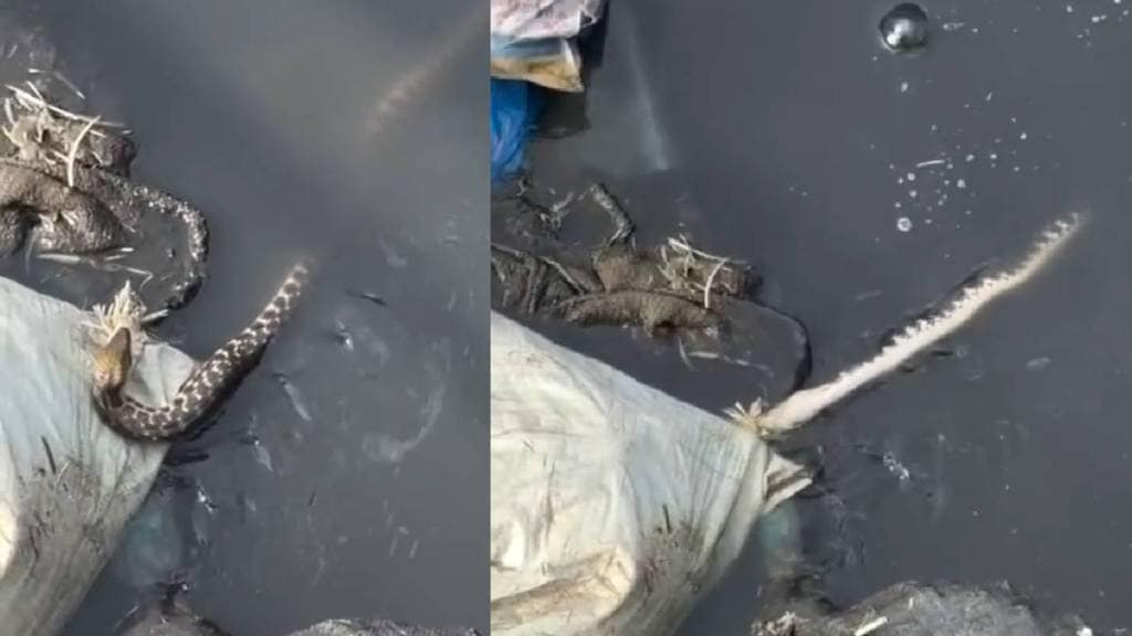 mira bhayandar municipal corporation mira bhayandar municipal corporation