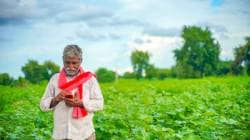 Mahavistar AI : महाविस्तार ‘एआय’ तंत्रज्ञानाचा वापर… नाशिक जिल्हा राज्यात प्रथम क्रमांकावर