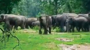 gadchiroli farms damaged