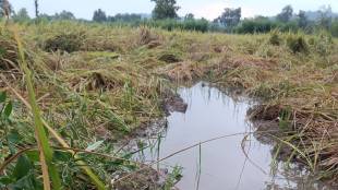 bhandara government officers