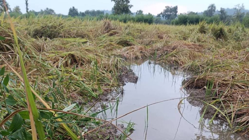 bhandara government officers bhandara government officers