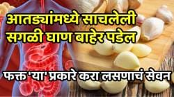 आठवड्याभरात आतड्यांमध्ये साचलेली सगळी घाण बाहेर पडेल; अपचनही होणार नाही, फक्त ‘या’ प्रकारे करा लसणाचं सेवन