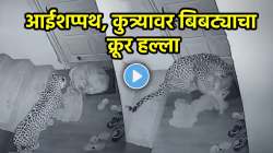 ‘मरण सांगून येत नाही…’, घराबाहेर झोपलेल्या कुत्र्यावर बिबट्याचा क्रूर हल्ला, VIDEO पाहून थरकाप उडेल