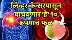 Liver cancer: लिव्हर कॅन्सरपासून वाचवणार ‘हे’ १० रूपयाचं स्वस्त फळ; संशोधनातून समोर आले चकित करणारे परिणाम