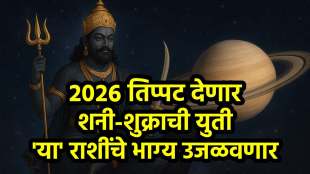 Shani-Shukra Yuti in Meen Rashi