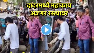 Shocking video huge python spotted in mumbai dadar youth tries to rescue snake watch happened next video goes viral