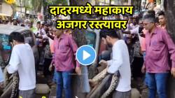 VIDEO: बापरे! दादरमध्ये कारच्या आत अडकला महाकाय अजगर; तरुणानं बाहेर खेचला अन् पुढच्याच क्षणी काय झालं पाहा