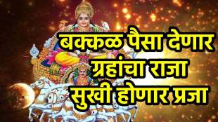 Surya In Vruschik Rashi Gochar 2025