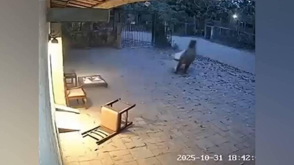 tiger attack video fake, Chandrapur forest guard incident, AI-generated wildlife videos, fake wildlife video viral, Brahmapuri tiger video, Maharashtra forest department news, wildlife conflict management,