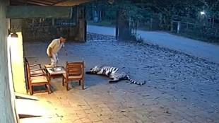 identify all fake videos Wildlife Conservationist Ajinkya Bhatkar provided guidance