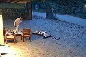 identify all fake videos Wildlife Conservationist Ajinkya Bhatkar provided guidance