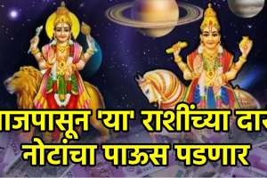 Budh-shukra make undecile aspect yog