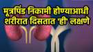 मूत्रपिंड निकामी होण्याआधी शरीरात दिसतात ‘ही’ गंभीर लक्षणे; वेळीच व्हा सावध
