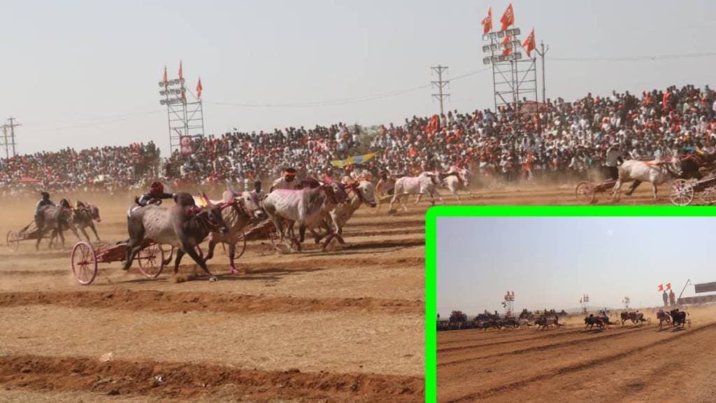bullock cart race Sangli, bailgadi sharyat winners, Srinath Kesari bullock race, Fortuner prize bullock cart race, Helicopter Baijya bullock pair, Breakfaill bullock pair, bullock cart race Maharashtra, bullock race event,