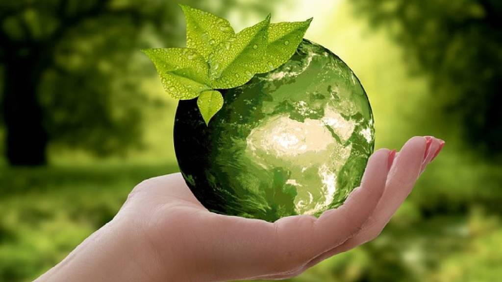 pune organizations environmental works