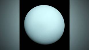 Uranus opposition, Uranus planet facts, observe Uranus through telescope, Uranus moons names, Uranus distance from Sun, William Herschel Uranus discovery, solar system planets,