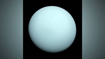 Uranus opposition, Uranus planet facts, observe Uranus through telescope, Uranus moons names, Uranus distance from Sun, William Herschel Uranus discovery, solar system planets, Uranus opposition, Uranus planet facts, observe Uranus through telescope, Uranus moons names, Uranus distance from Sun, William Herschel Uranus discovery, solar system planets,