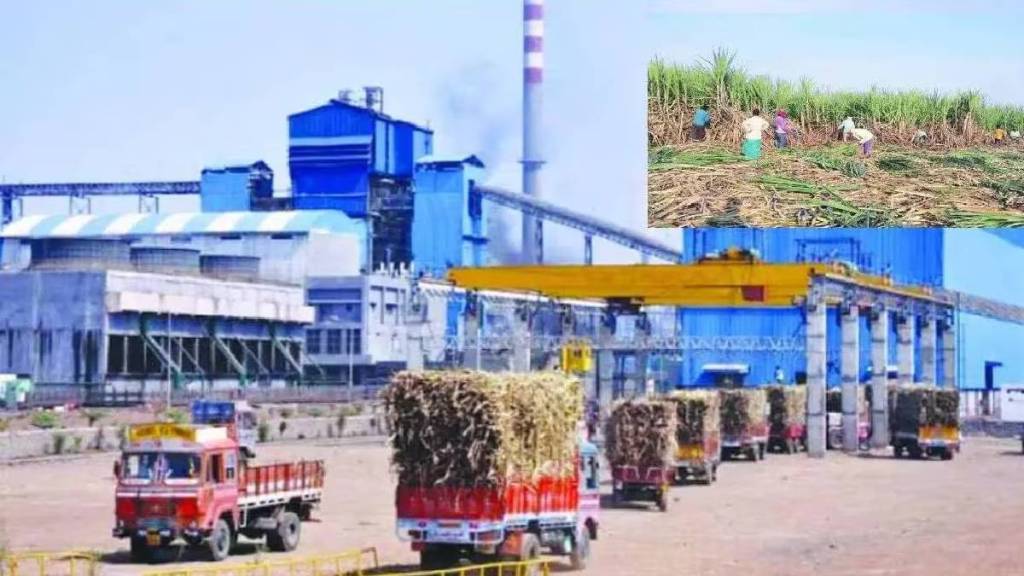 Kolhapur sugarcane farmers