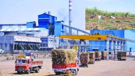 Kolhapur sugarcane farmers Kolhapur sugarcane farmers