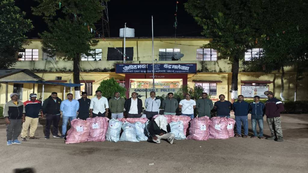 gadchiroli Police seized ganja worth rs 1 crore 5 lakh in biggest anti smuggling operation