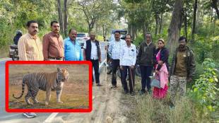 gondia tiger kohmara road