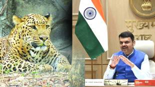 devendra fadnavis leopard