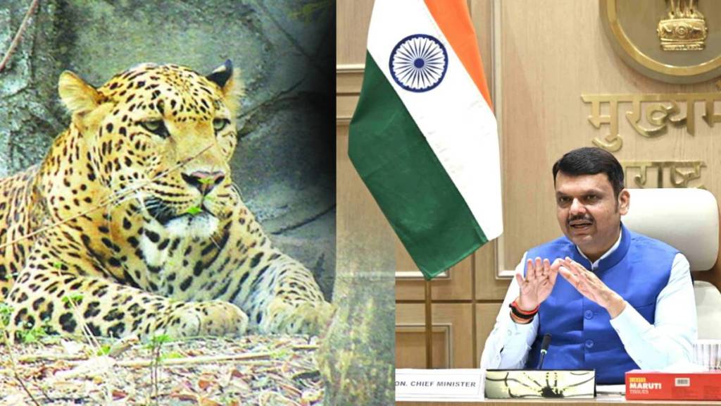 devendra fadnavis leopard