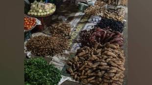 winter Kand mool Vasai, seasonal vegetables Vasai Virar, turmeric demand winter, Ayurvedic root vegetables, Vasai food market prices, winter health foods Maharashtra, shingade prices Vasai, Vasai vegetable market,