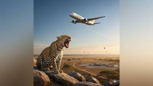 Pune airport security, leopard tracking Pune airport, CCTV cameras at Pune airport, airport wildlife monitoring, night vision airport security, thermal sensors Pune, Pune airport safety measures, airport CCTV expansion,