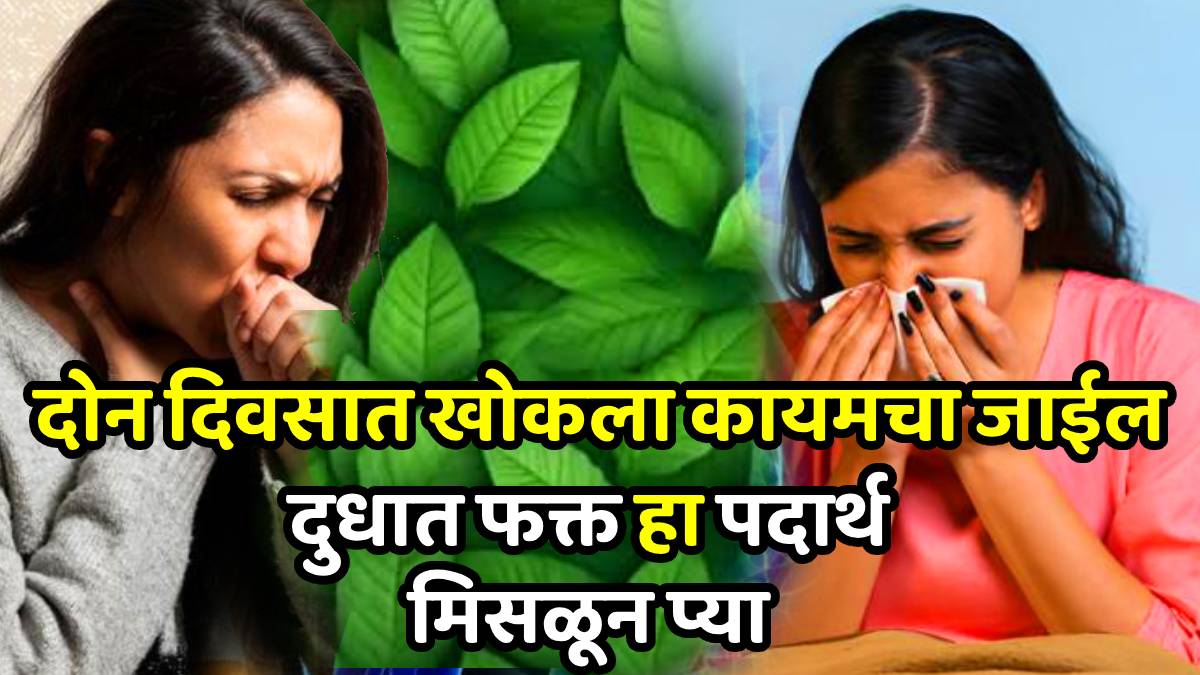 Consume these 5 best home remedies to get rid of cough cough and cold home remedy in marathi