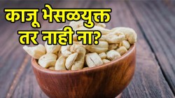 दररोज चवीने खात असलेला काजू भेसळयुक्त तर नाही ना? खरा आणि भेसळयुक्त काजू कसा ओळखायचा?