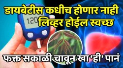 डायबेटीस कधीच होणार नाही! लिव्हर आठवड्यात होईल स्वच्छ अन् पोटही होईल साफ; फक्त सकाळी चावून खा ‘ही’ पानं
