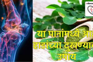Benefits of Moringa Leaves