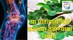 हाडांचा कमकुवतपणा घालवण्यासाठी ‘हा’ पाला आहे रामबाण इलाज… सांधेदुखीवरही ठरेल फायदेशीर