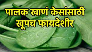 Spinach is very effective for hair growth