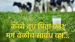 तुम्हाला कच्चं दूध प्यायची सवय आहे का? तर सावध व्हा, प्राण्यांपासून होऊ शकते असे इंफेक्शन…