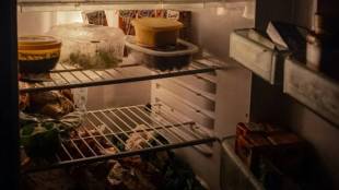 Guide to how long food stays fresh in the fridge