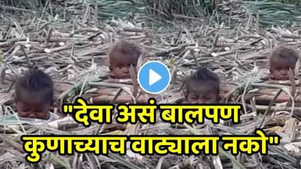 Heartbroken video of sugarcane workers' children emotional video Heartbroken video of sugarcane workers' children emotional video