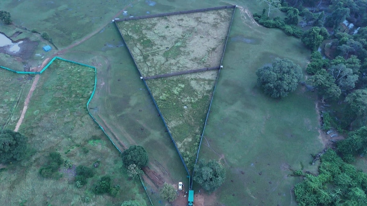 Chital Translocation Tadoba Andhari Tiger Reserve Navegaon Nagzira Boma Technique Maharashtra Forest Department