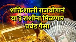 पैसा, प्रसिद्धी आणि भरघोस यश…चार राजयोगांमुळे ‘या’ ३ राशींचा सुवर्णकाळ सुरु; वर्षाच्या शेवटी होणार अचानक धनलाभ