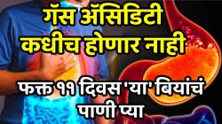 गॅस अ‍ॅसिडिटी कधीच होणार नाही, सकाळीच पोट झटक्यात होईल साफ; फक्त ११ दिवस ‘या’ बियांचं पाणी प्या